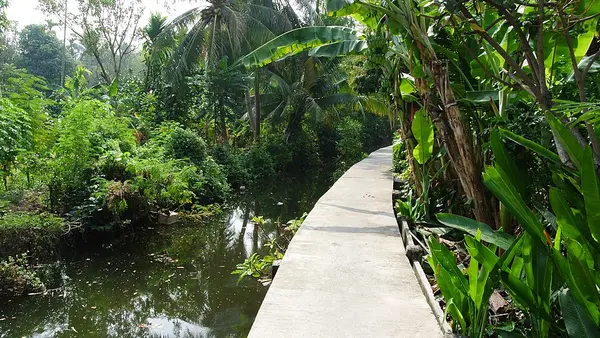 where to go in bangkok Bang Kachao