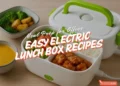 electric lunch box recipes