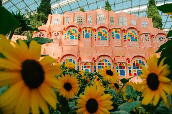 Sunflower Surprise at Gardens by the Bay