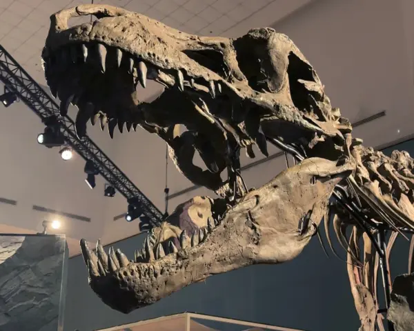 what to do during school holidays in singapore Dino Discovery at Science Centre Singapore