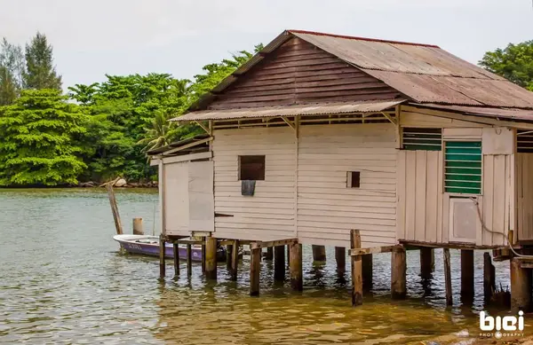 children's activities december singapore Pulau Ubin Kampong
