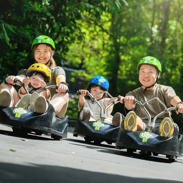 children's activities december singapore Skyline Luge in Sentosa