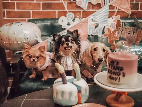 Where To Spend Your CDC Vouchers The Urban Hideout