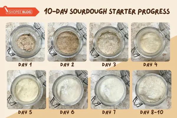 how to make sourdough starter - 