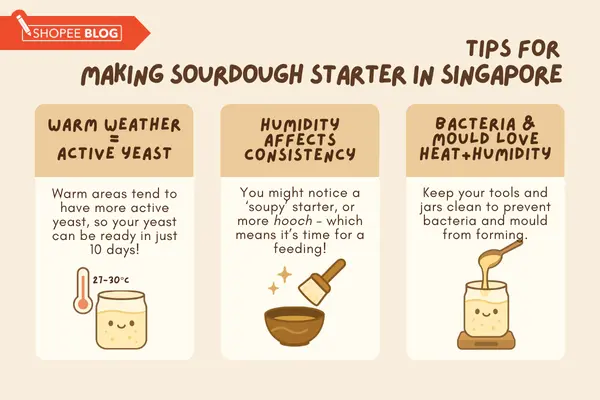 how to make sourdough starter in singapore
