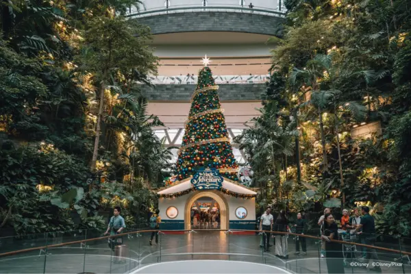 Changi Airport Disney Winter Wonderland Where To Go For Christmas In Singapore