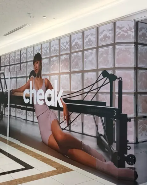 Cheak singapore activewear brands