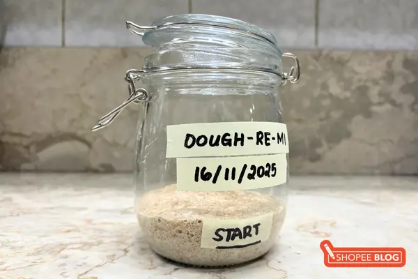 sourdough starter - day 2 rise