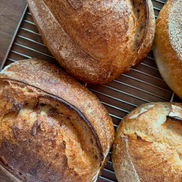 best sourdough singapore microbakery