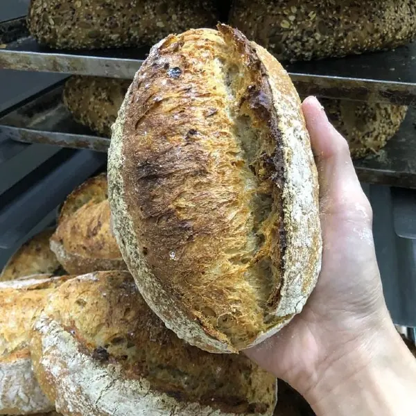 best sourdough singapore nick vina artisan bakery