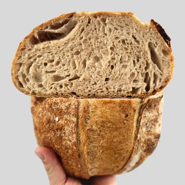 best sourdough singapore starterlab