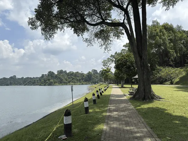 MacRitchie Reservoir