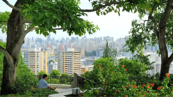 Mount Faber Park quiet places in singapore