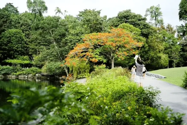 Singapore Botanic Gardens quiet places in singapore