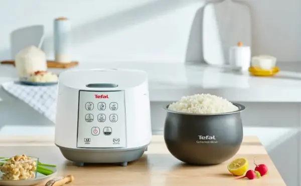 Tefal Delirice Fuzzy Logic Rice Cooker RK7321 recommended rice cooker singapore