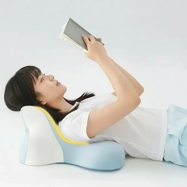 Epitex DualCore Night Owl Lounger pillow good for neck pain