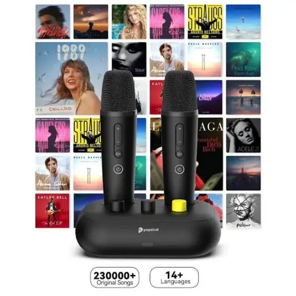best home karaoke system singapore Popsical Remix 2