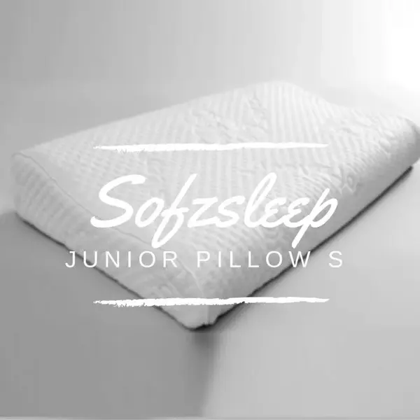 Sofzsleep Junior Pillow S best pillow singapore