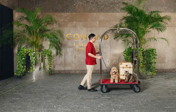 Dog-friendly Hotels Singapore - Conrad Singapore Orchard