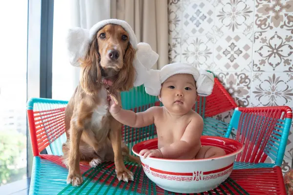 Hotel Indigo Singapore Katong by IHG Pet-friendly Hotels Singapore