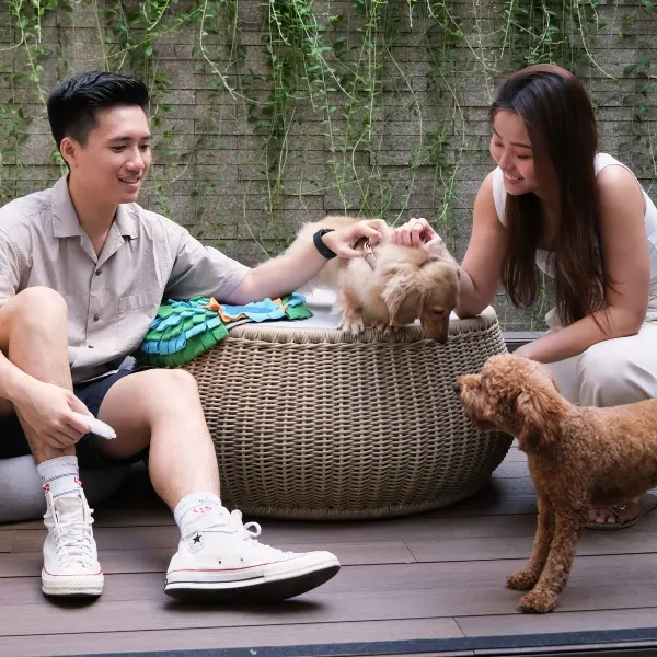 Pet-friendly Hotels Singapore - Oasia Resort Sentosa