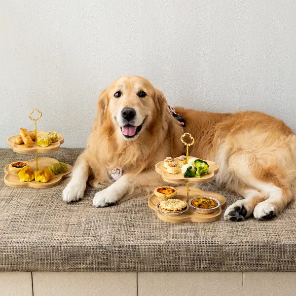 Pet-friendly Staycation Singapore - Amara Sanctuary Sentosa