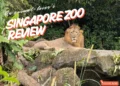 Singapore Zoo review 2026
