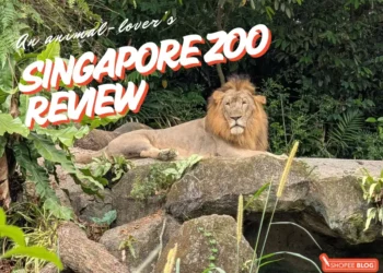 Singapore Zoo review 2026
