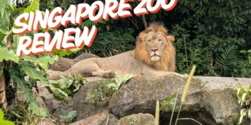 Singapore Zoo review 2026