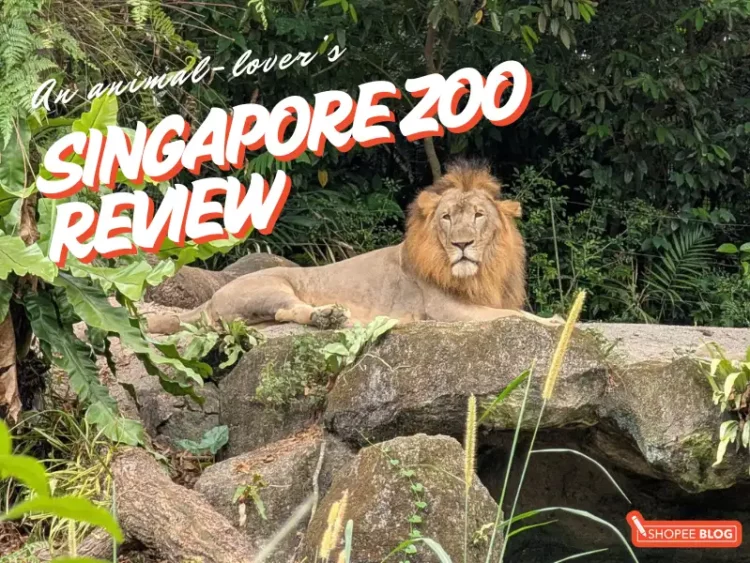 Singapore Zoo review 2026