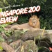 Singapore Zoo review 2026