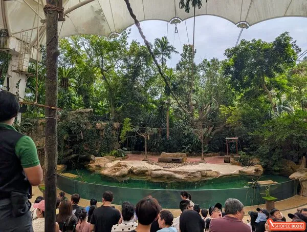 singapore zoo show animal performance