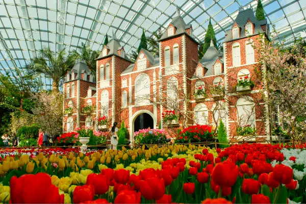 Things to do this weekend Singapore - Tulipmania, Gardens by the Bay