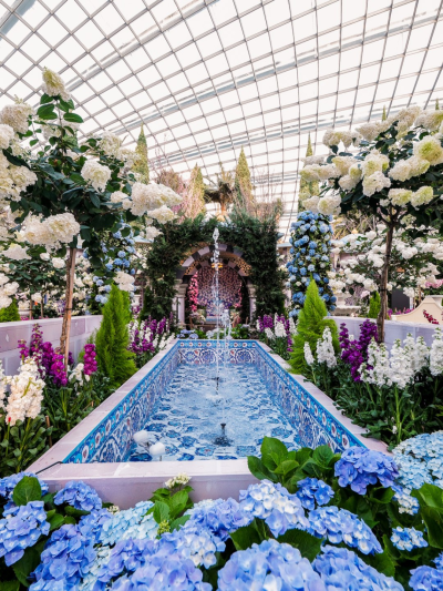 things to do in singapore this weekend - blue beauties 2026