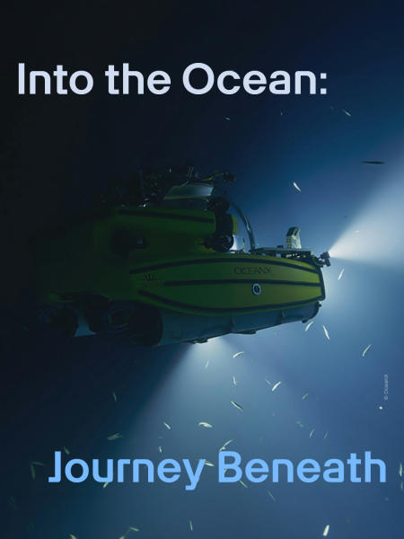 Things to Do in Singapore this Weekend - Into the Ocean