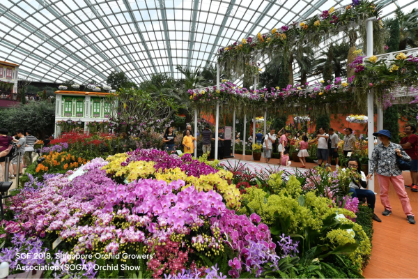 singapore garden festival 2026