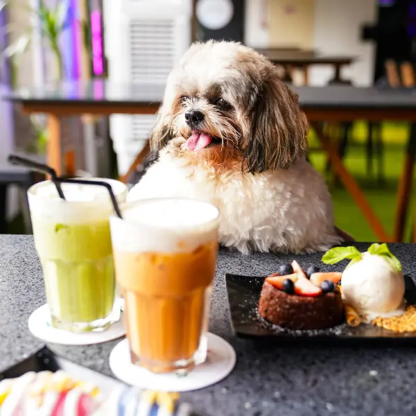 Atmosphere Thai Bistro & Bar - best sports bars singapore