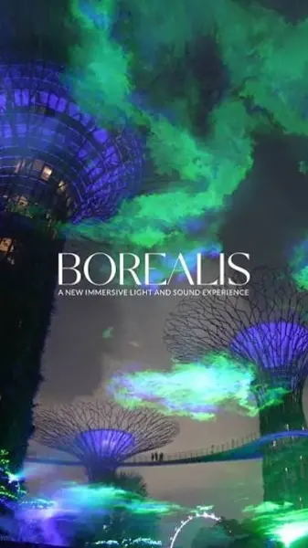 Catch the Borealis Northern Lights at Supertree Grove