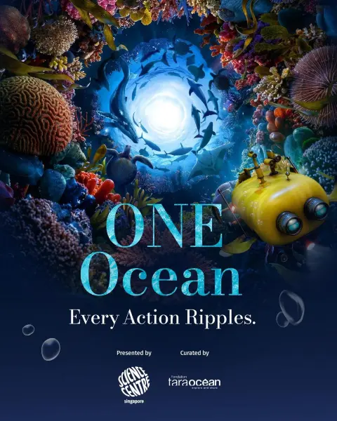 Explore an underwater world at ONE Ocean Every Action Ripples